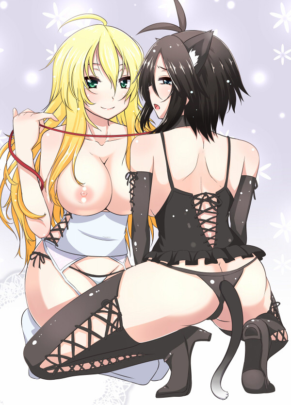 Catgirl Daily