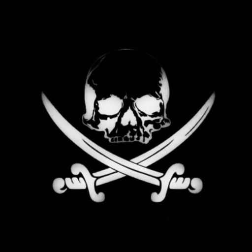 bretheren-0f-theblack-flag:Haggard Pirate