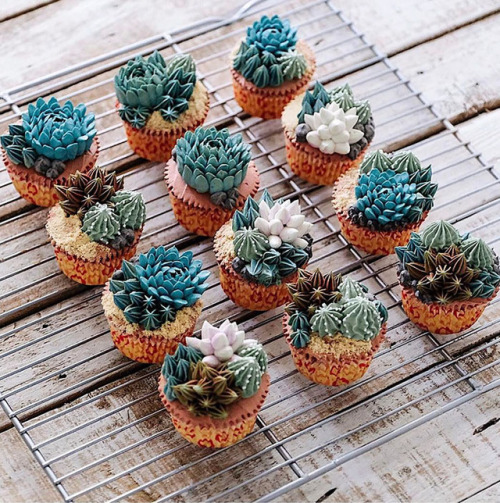 taigas-den: carrioncoyote: bibidebabideboo: (Succulent Cakes By Ivenoven Will Make Every Succulent L