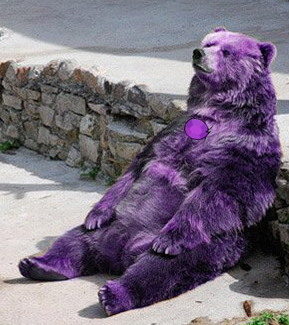   Made a bear-Amethyst too ‘cause I should’ve done so in the first post