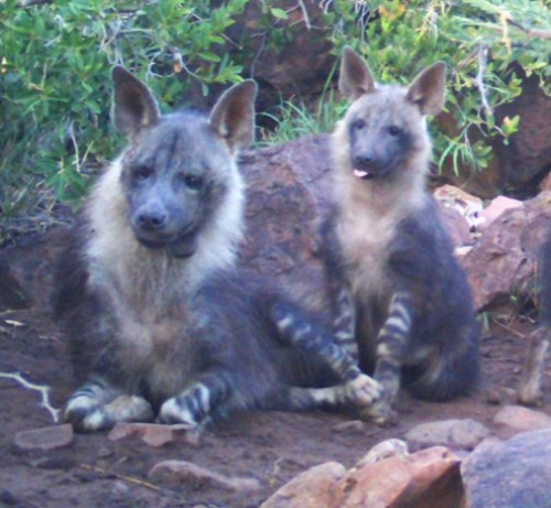 Happy New Yeens!