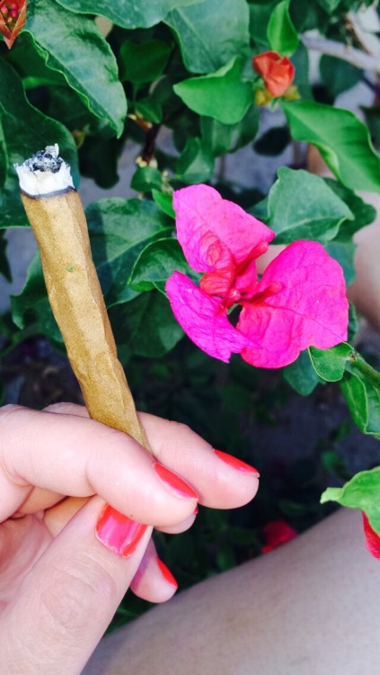 Wake&amp;Bake☀️Peach&amp;Weed Blunt