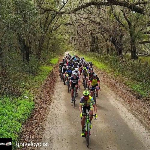 blog-pedalnorth-com: @Regrann from @gravelcyclist - This photo comes from today’s 6th running of the