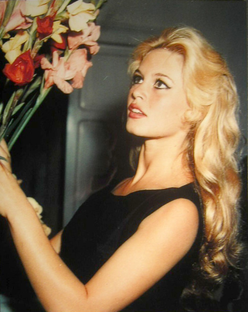 Brigitte bardot sex symbol