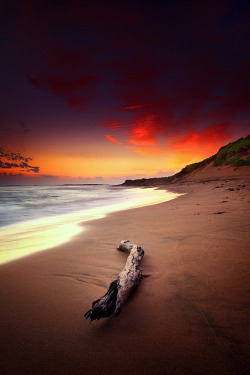 drxgonfly:  Washed Away by Noval N | Photography on Flickr. 
