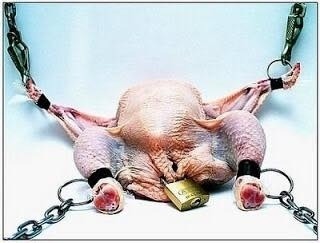 pussypoppinpagan:  Happy Thanksgiving