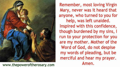 Powerful prayer to Our Blessed Mother! Join the Twitter Storm #PraytoEndAbortion Jan 22 at 1pm EST I