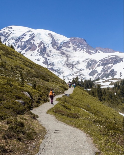 carrie-outdoors: Mount Rainier.my travel blog