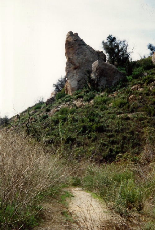 Sandstone and Chaparral, Santa Monica Mountains, Ventura County, California, 1996.
