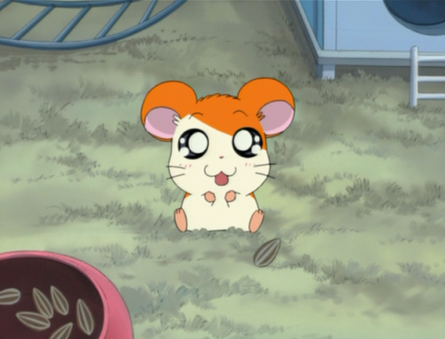 8111fhamtaro: 照れるハム太郎可愛すぎる