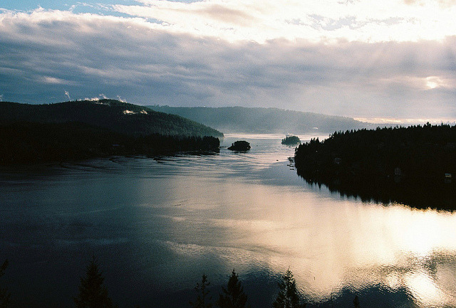 brutalgeneration:  . by Scott McFadyen on Flickr. 
