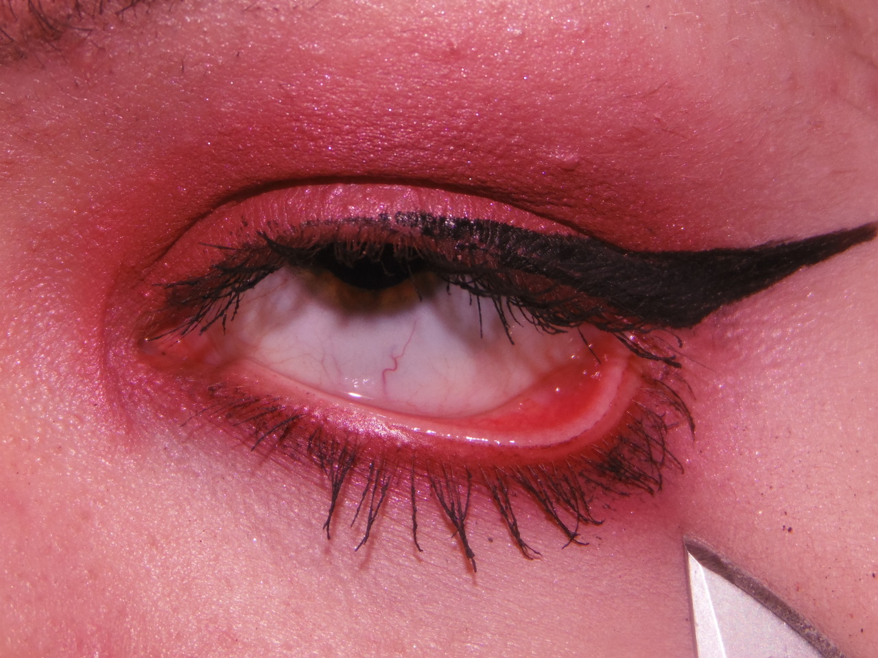 g0thegg:  I took these at 1am 