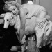 happyheidi:Marilyn Monroe + Borzoi’s <3 and more  🐕 