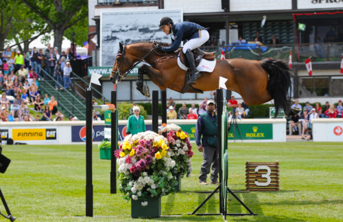 ahorsecalledtimber1: Kent Farrington and Voyeur, Spruce Meadows 2014. This horse is such a freak… t