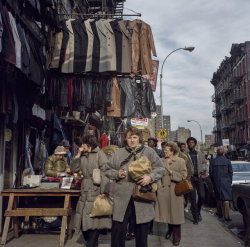 la-beaute–de-pandore:  Janet Delaney  