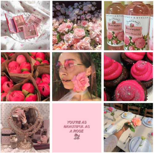 Briar Beauty Moodboard