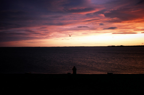 Reykjavik.Provia 100F.July, 2016.