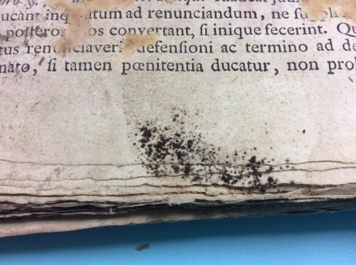 msulconservationlab:This poor book was full of mold, dirt, and accretions. (I urge you to click on