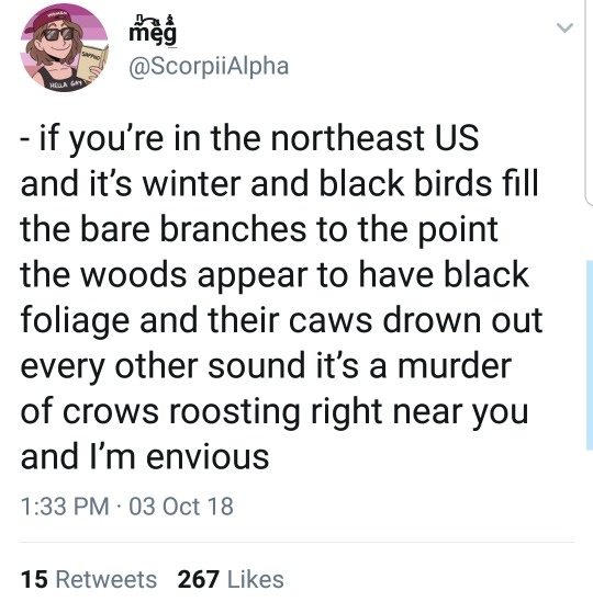 blonddnamedhandz:  crewdlydrawn:  rainbowattack:  <Twitter thread>   If you’re in the northeast US and a flock of black birds have taken over your yard / tree but you DON’T hear cacaphonous cackling, then they’re starlings, and they’re probably