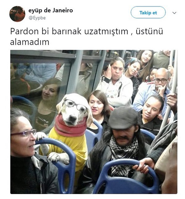 Pardon bi barınak...