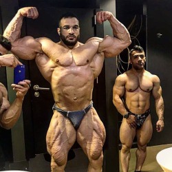 Musculos, Roids y Osos