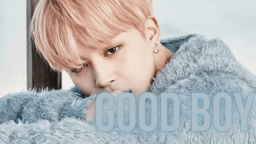 Good Boy Fourteen