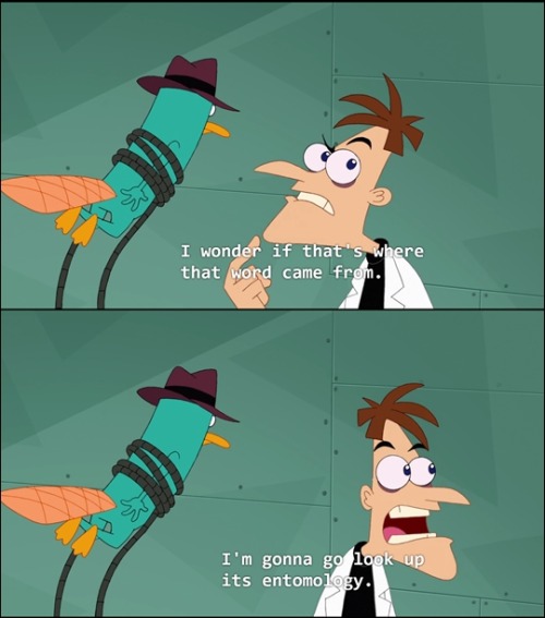 adhd-vibes:fandomquoter:Phineas and Ferb - Season Four - “My Sweet Ride” ok but this literally adhd