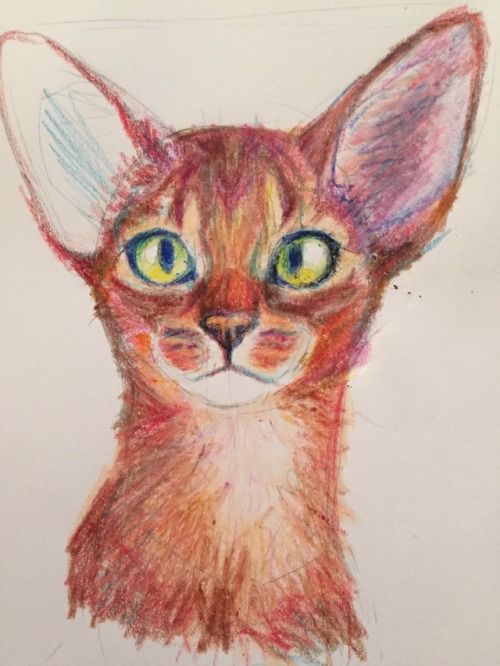 meow286: i drew this for a a step by step of how i draw w crayola crayons :3