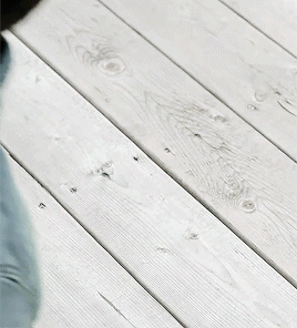🌿