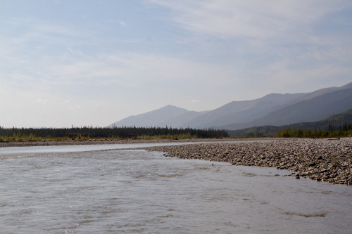 Exploring the braided Koyukuk River just outside of Wiseman, AlaskaTaken August 2020