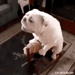 b52buzz:  aquariusplanet:  likes this ♥  giddy up! 