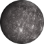 greywooden