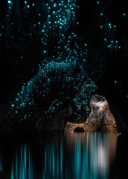 bogleech:bughaze:landscape-photo-graphy:Glowworms Illuminate New Zealand’s CavesPhotographer S