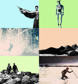 peetasalive:  Katniss, you have been our