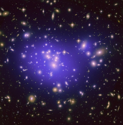 This image shows the galaxy cluster Abell 1689, with the mass distribution of the dark matter in the