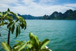 lauryncravens:  Vietnam. Wow 