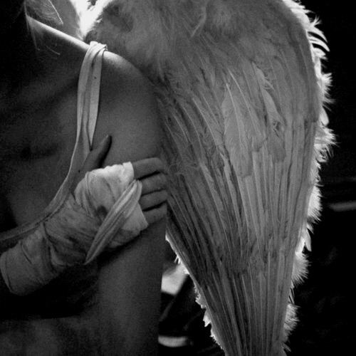 blackthornesforest:  Your dark angel. Always a fighter, always surviving.I will survive