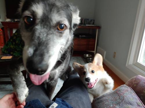 Piper (9 years) and Buckley (3 months) are a couple of the happiest siblings!