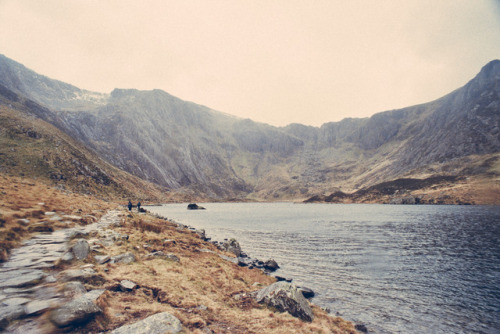 S o m e o n e I n S p r i n g (crawling mountain)35mm / Voigtlander Bessaflex & Contax G1 / Port