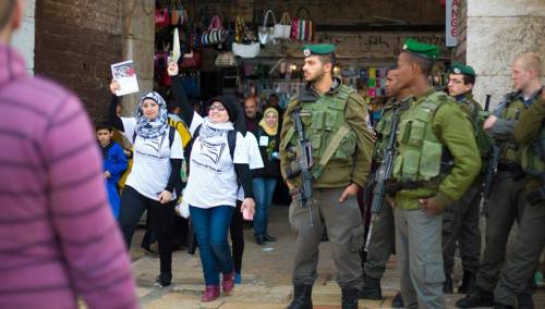 thepalestineyoudontknow: About than 7,000 Palestinians gathered in the longest reading human chain a