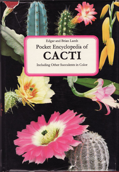elranchonotsogrande: Pocket Encyclopedia of Cacti.