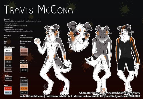 Reference Sheet Commissions ✨Commissions for AriesRedWolf, characters belong to him.Commissions Info