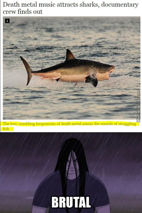 theblackestdepths:  blackmetalphysicist:  docking-bay-94:   It’s fitting because sharks also do not have necks  fuck you all 