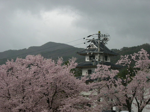 miizukizu:dscn0091 The beauty of Japan - trees, mountains, a castle tower, and utility poleBy :