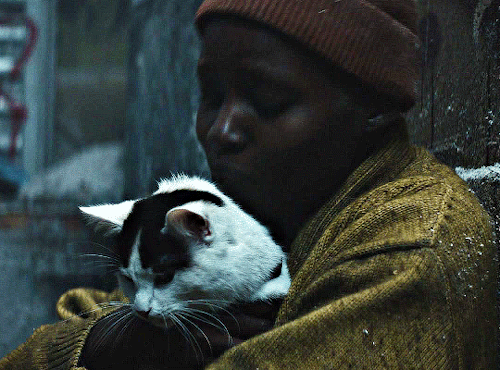 LUPITA NYONG'O As SAM (featuring Some Frodo)A QUIET PLACE: DAY ONE (2024) Dir. Michael Sarnoski