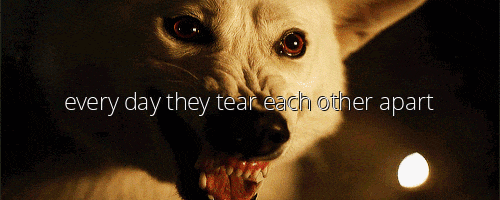 Two Wolves