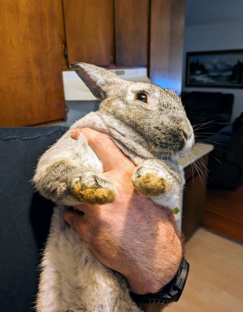 What The Ker-fluffin!#?$!