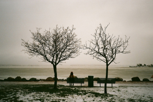 englishsnow:  Jane Grigoryeva 