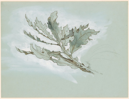 A Cluster of Oak Leaves, by John Ruskin, Morgan Library & Museum, New York City.