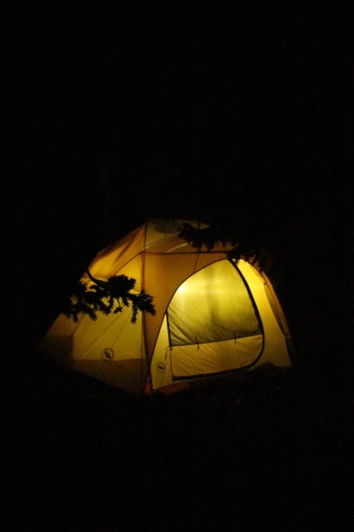 goodnight tent